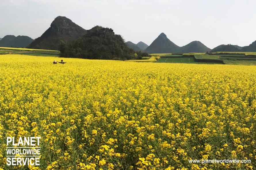 ทัวร์โหลวผิง