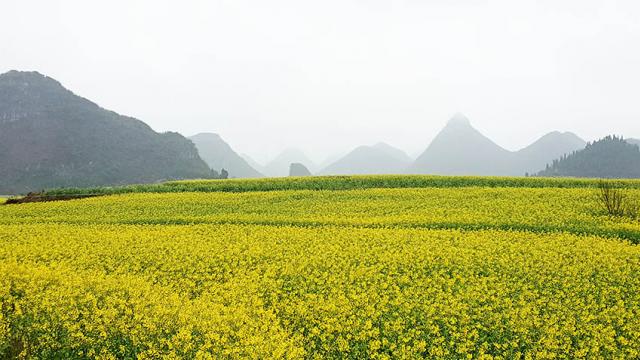 ทัวร์โหลวผิง