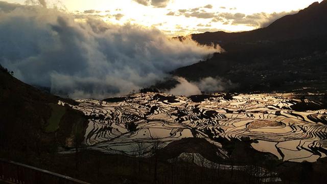 ทัวร์หยวนหยาง