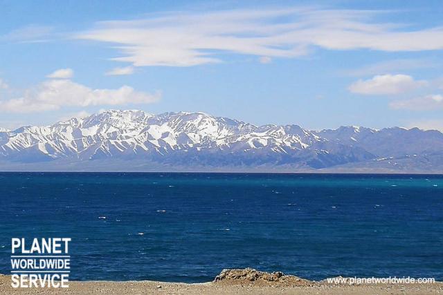 ทัวร์ซินเจียง ดอกทิวลิป