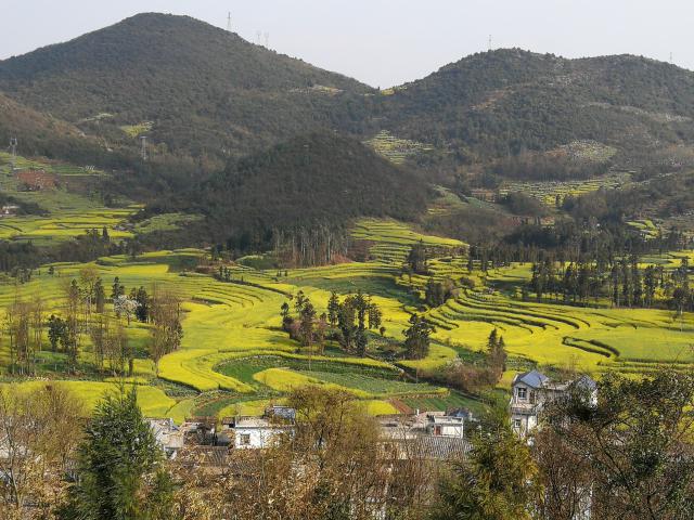 ทัวร์โหลวผิง