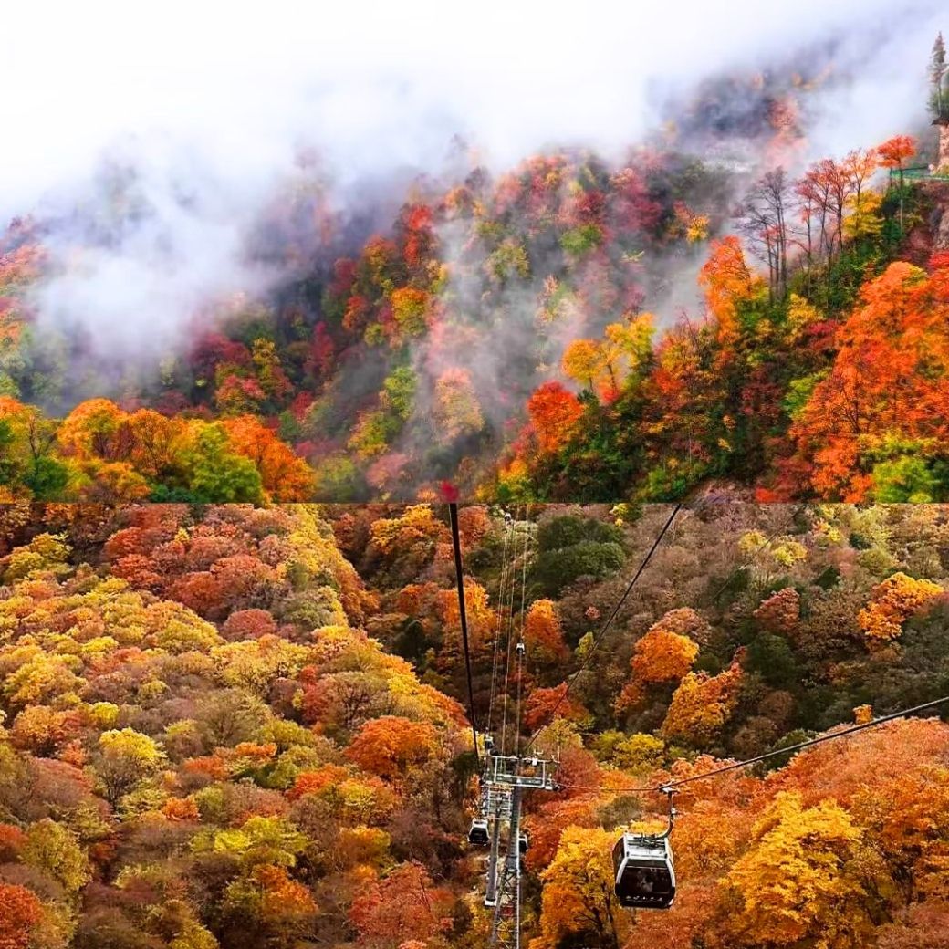 GUANGWUSHAN LONGTOSHAN AUTUMN 5★ ทัวร์กวงอู้ซาน หลงโถซาน  ฮั่นจง ช่วงใบไม้เปลี่ยนสี