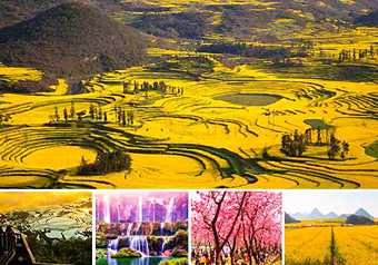 Blossom season@Yunnan ทัวร์หยวนหยาง โหลวผิง เจี้ยนสุ่ย ดอกซากุระ