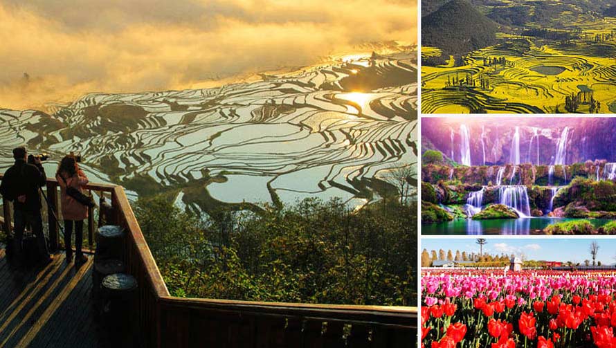 Spring flowers @Yunnan ทัวร์หยวนหยาง โหลวผิง เจี้ยนสุ่ย ดอกทิวลิป สวนดอกไม้คุนหมิง Spring flowers @Yunnan ทัวร์หยวนหยาง โหลวผิง เจี้ยนสุ่ย ดอกทิวลิป สวนดอกไม้คุนหมิง