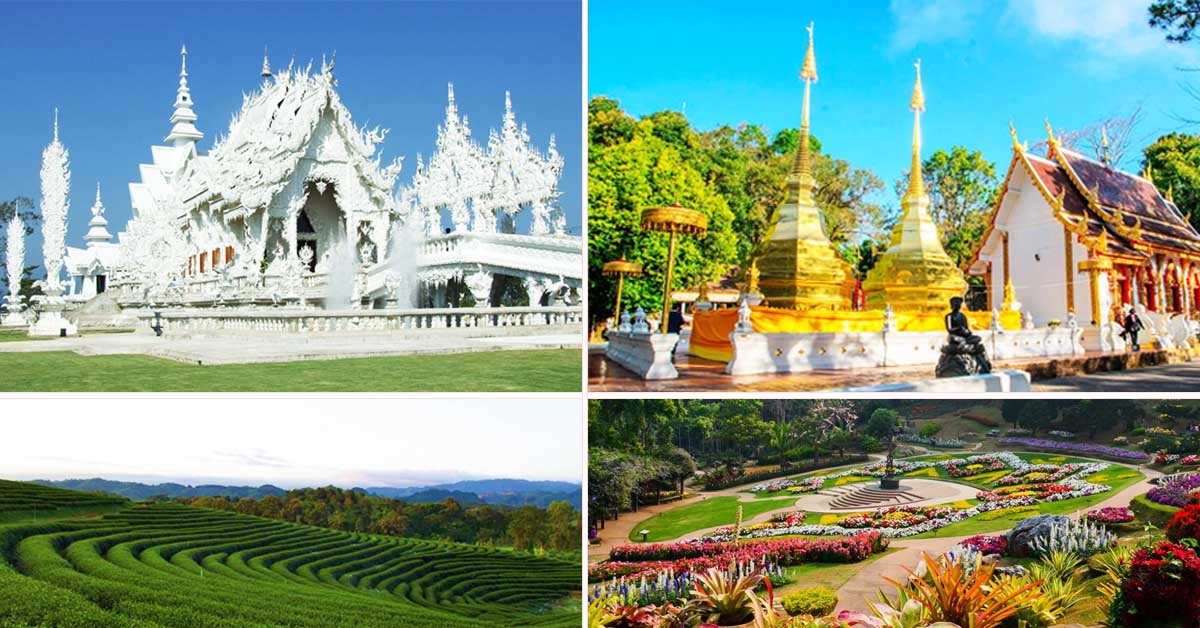 ทัวร์เชียงราย ชมสวนแม่ฟ้าหลวงดอกไม้เมืองหนาว หมู่บ้านกลางหุบเขาดอยผาฮี้ ทัวร์เชียงราย ชมสวนแม่ฟ้าหลวงดอกไม้เมืองหนาว หมู่บ้านกลางหุบเขาดอยผาฮี้
