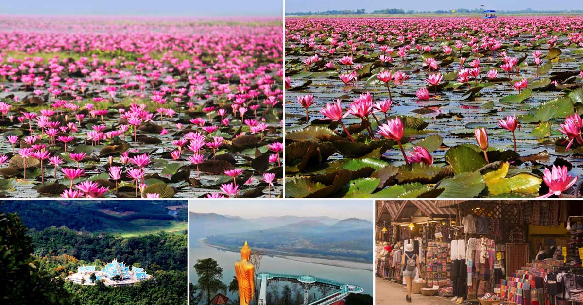 ทัวร์อุดรธานี ทะเลบัวแดง เชียงคาน สกายวอล์ค ฟูจิเมืองเลย ทัวร์อุดรธานี ทะเลบัวแดง เชียงคาน สกายวอล์ค ฟูจิเมืองเลย