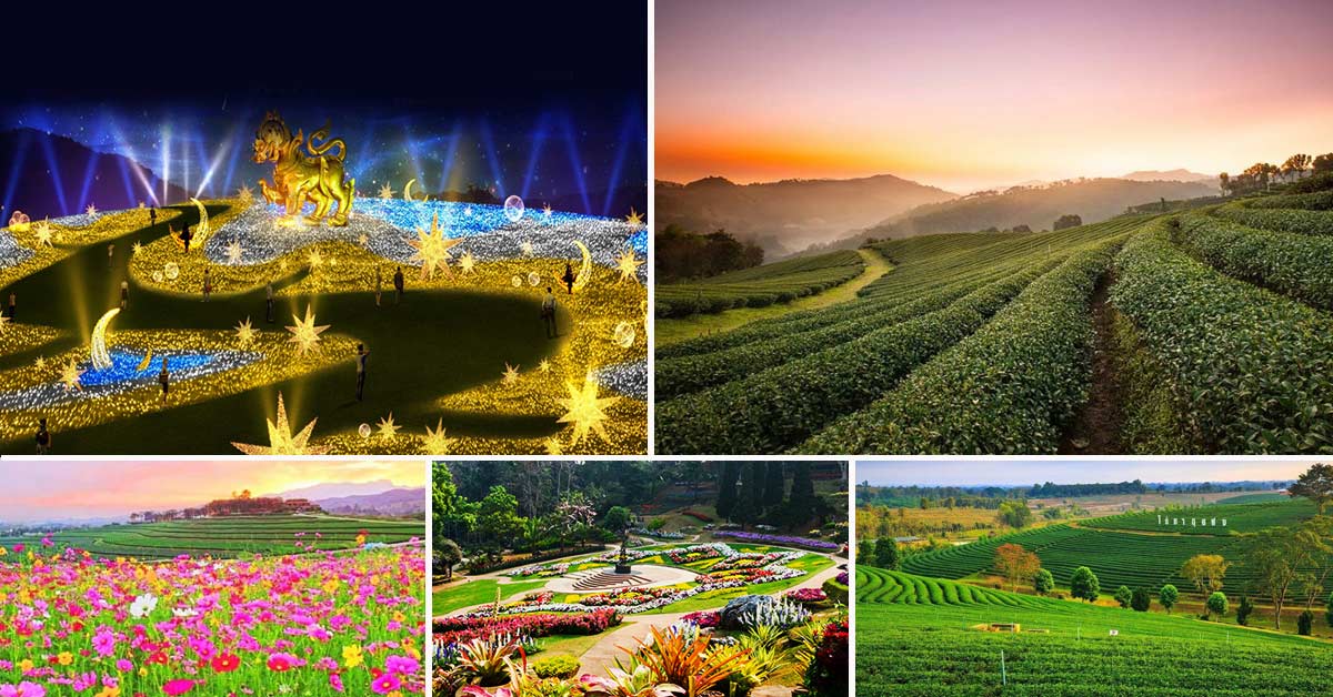ทัวร์เชียงราย เทศกาลประดับไฟฤดูหนาว ยิ่งใหญ่ที่สุดในเอเชีย พิเศษ! พักโรงแรม ระดับ 5 ดาว ทัวร์เชียงราย เทศกาลประดับไฟฤดูหนาว ยิ่งใหญ่ที่สุดในเอเชีย พิเศษ! พักโรงแรม ระดับ 5 ดาว