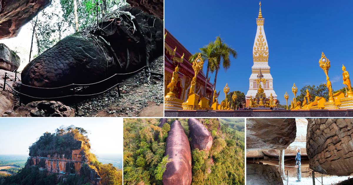 ทัวร์บึงกาฬ ถ้ำนาคา หินสามวาฬ นครพนม ถ้ำนาคี สกลนคร ทัวร์บึงกาฬ ถ้ำนาคา หินสามวาฬ นครพนม ถ้ำนาคี สกลนคร