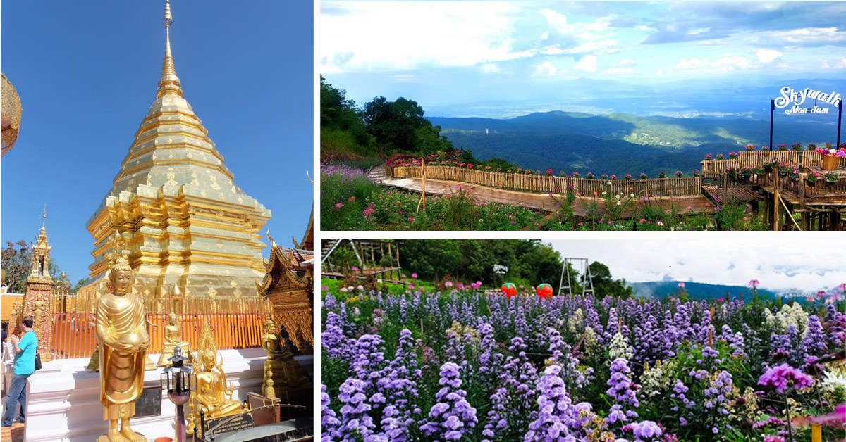 ทัวร์เชียงใหม่ แม่ริม ดอยม่อนแจ่ม 3วัน ทัวร์เชียงใหม่ แม่ริม ดอยม่อนแจ่ม 3วัน