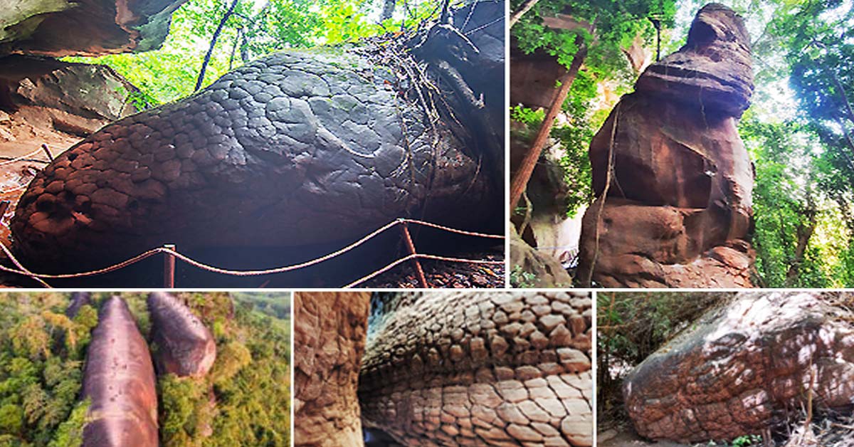 ทัวร์ถ้ำนาคา ถ้ำนาคี หินสามวาฬ คำชะโนด อุดรธานี 3วัน ทัวร์ถ้ำนาคา ถ้ำนาคี หินสามวาฬ คำชะโนด อุดรธานี 3วัน