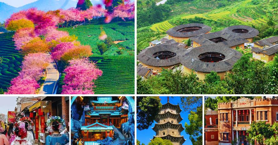 ทัวร์ซากุระฝูเจี้ยน เยือนมรดโลก เมืองฉวนโจว บ้านดินถู่โหลว เกาะเปียนโน