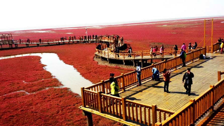 ทัวร์จีน สีสันอารยธรรมเมืองชายแดน ตานตง เปิ่นซี ผานจิ้น เสิ่นหยาง หญ้าแดง ทัวร์จีน สีสันอารยธรรมเมืองชายแดน ตานตง เปิ่นซี ผานจิ้น เสิ่นหยาง หญ้าแดง