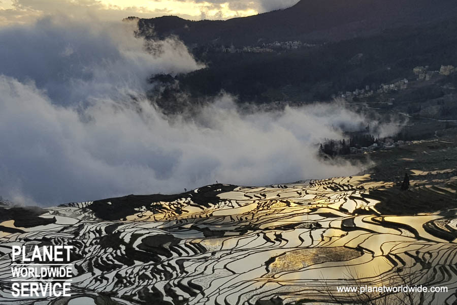 หยวนหยาง