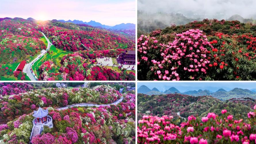 ทัวร์กุ้ยโจว