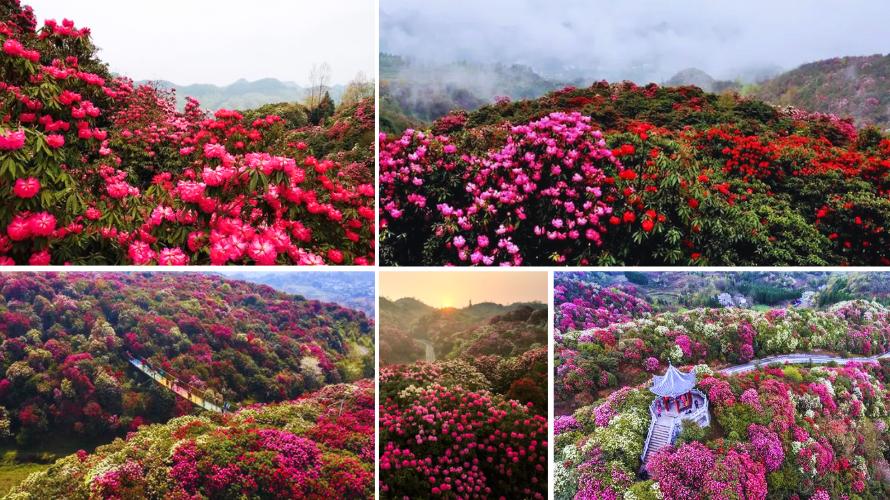 ทัวร์กุ้ยโจว