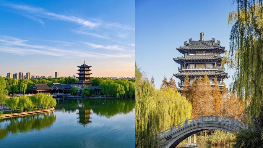 ทัวร์ชิงเต่า