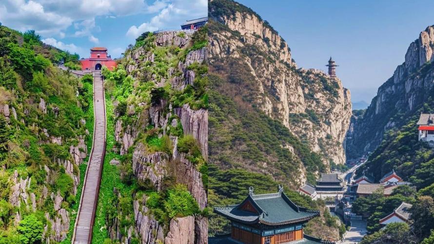 ทัวร์ชิงเต่า