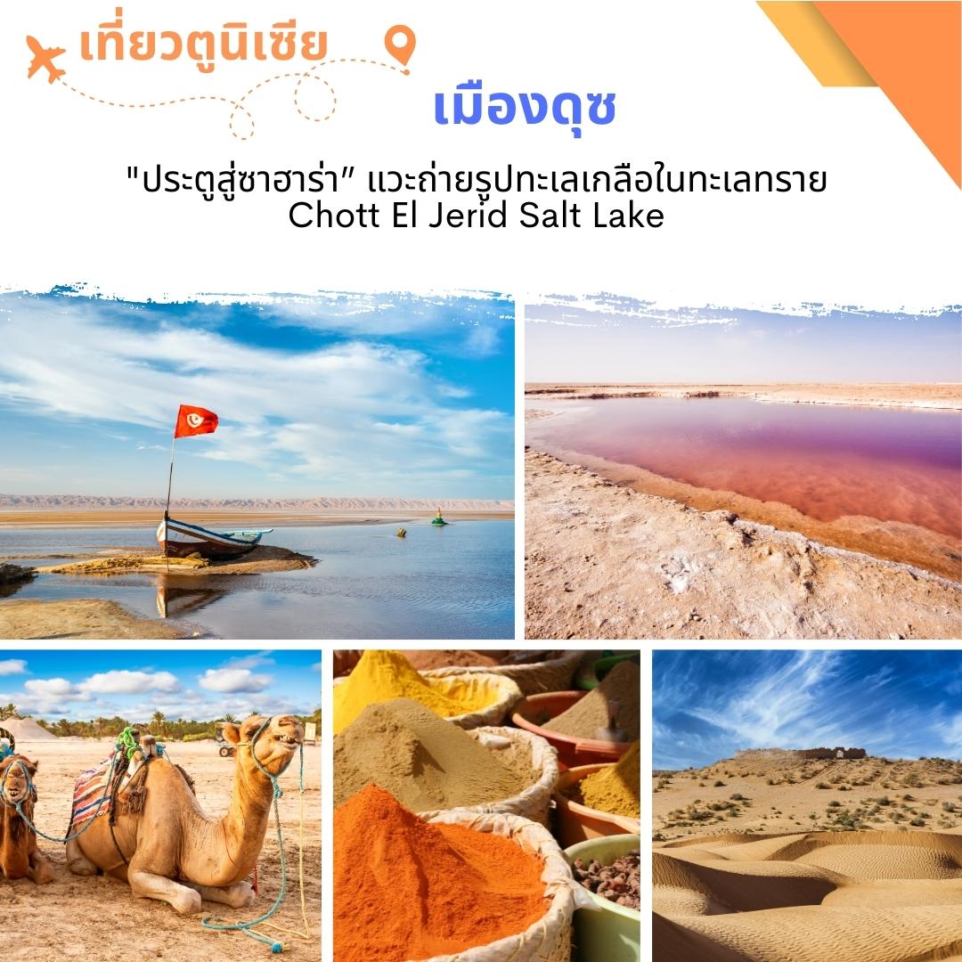 ทัวร์ตูนิเซีย