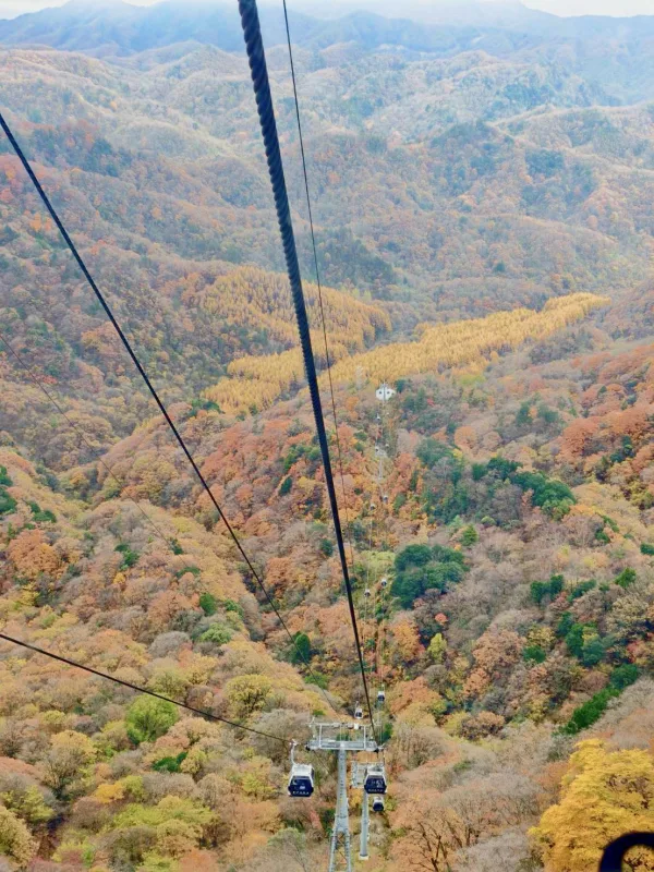 สวยมาก ใบไม้เปลี่ยนสี กวงอู้ซาน หมี่ซางซาน 30ต.ค.