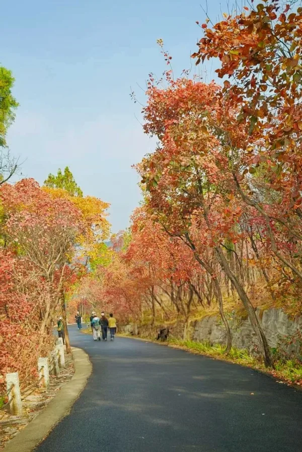 ภูเขาใบไม้แดง จี่หนาน