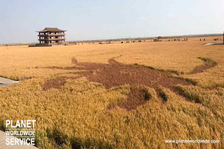 ทัวร์หญ้าแดง