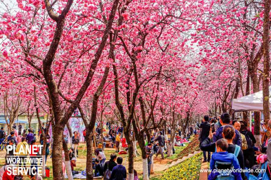 ทัวร์หยวนหยาง