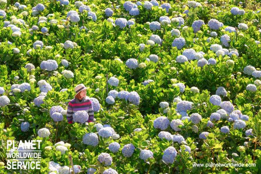 ทัวร์เวียดนามใต้